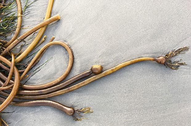 hope,-health-and-climate:-coming-this-fall