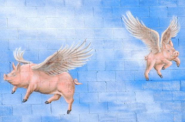 we-all-did-this-and-we’re-not-done-doing.