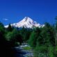 tell-oregon-regulators:-we-want-clean-and-safe-buildings-in-our-future