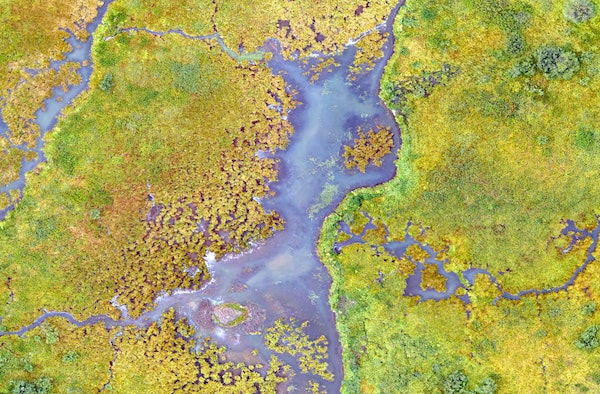 it’s-critical,-not-controversial:-why-we-must-double-down-on-nature-investments