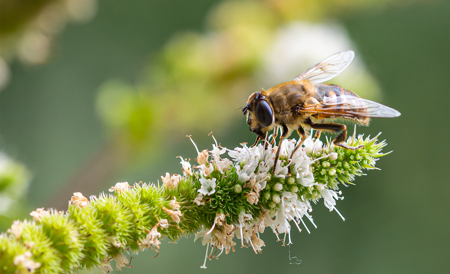 4-immediate-actions-to-better-manage-natural-resources-for-global-biodiversity