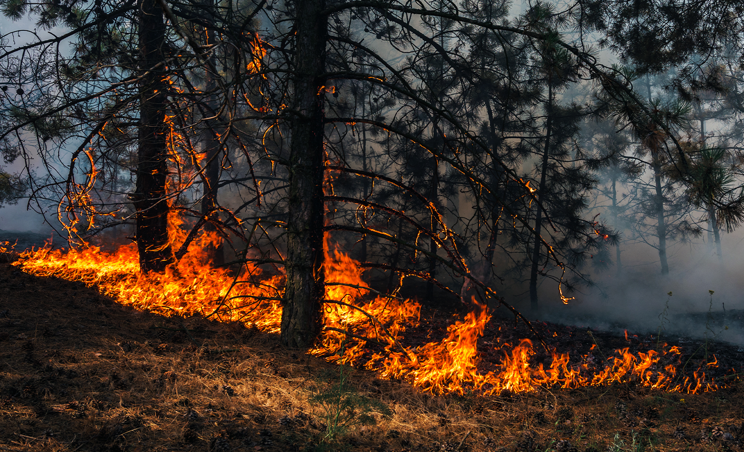 how-the-escalating-climate-crisis-is-impacting-global-livelihoods