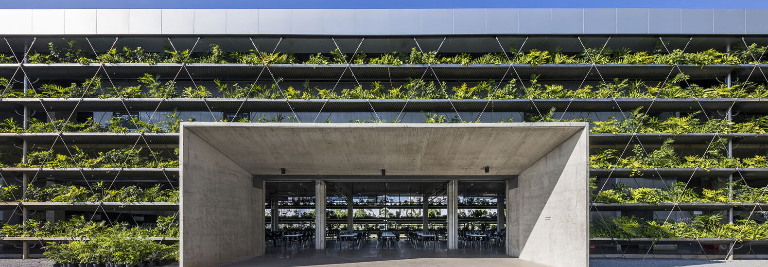 the-jakob-factory-in-vietnam-builds-walls-out-of-live-plants