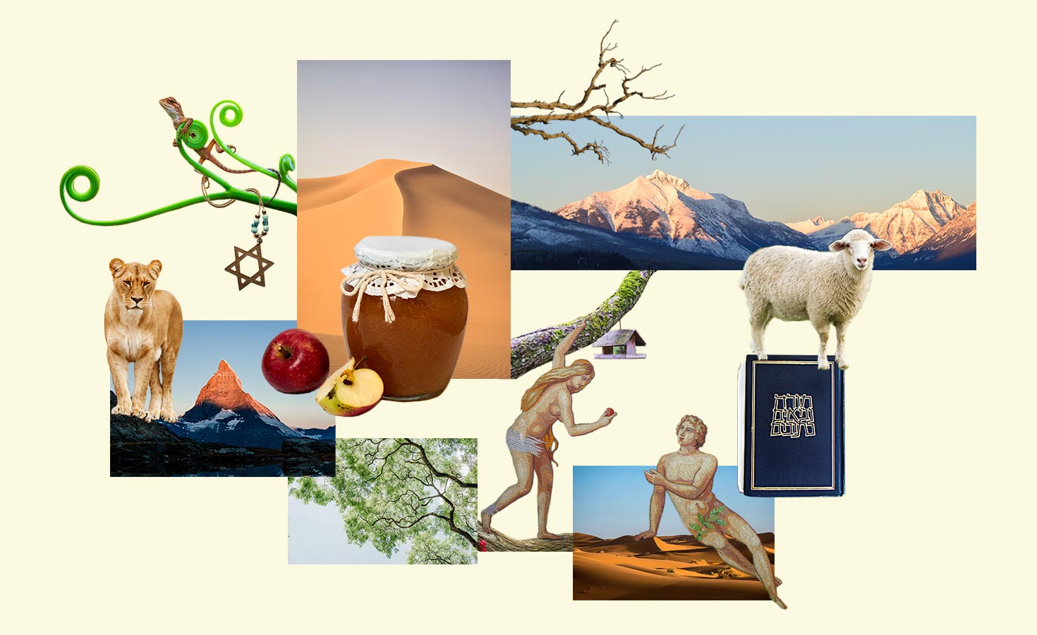 as-a-jewish-new-year-begins,-reflections-on-my-career-and-faith