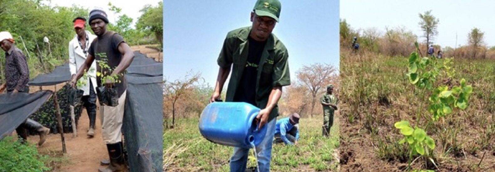 a-subscription-service-that-works-to-fund-climate-action