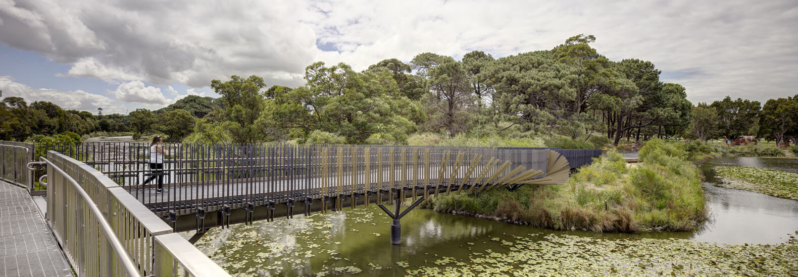 this-bridge-design-takes-inspiration-from-the-bara-eel