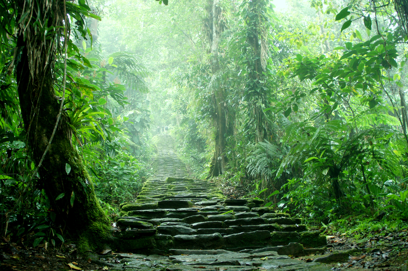 taskforce-values-nature-based-markets-at-$7-trillion