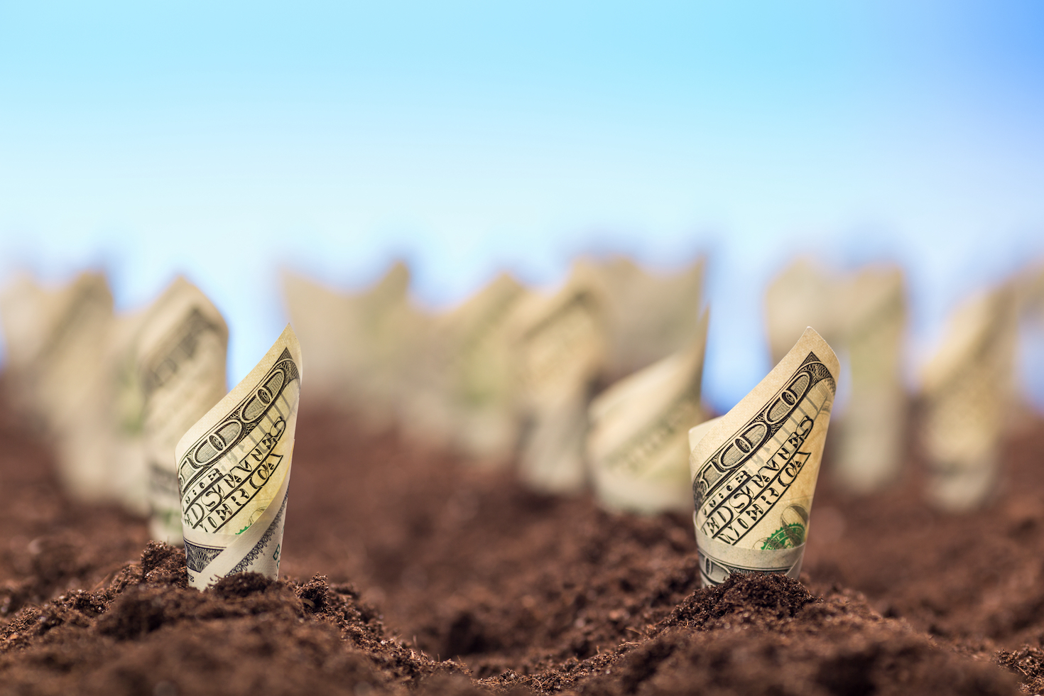 we-need-to-value-natural-capital