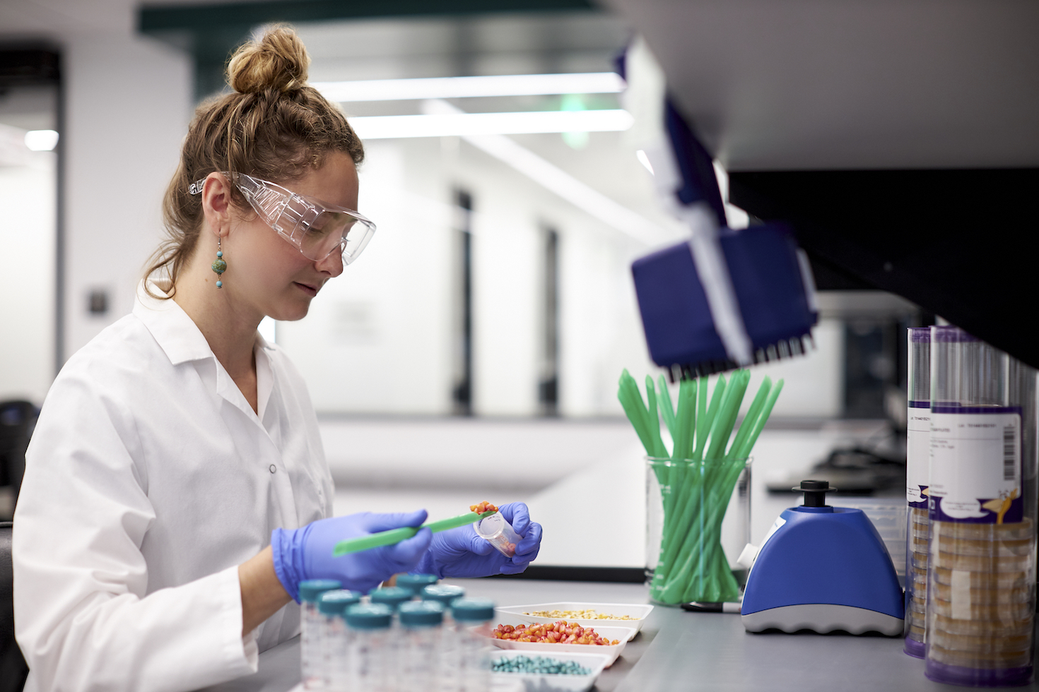 q3-startup-roundup:-mushroom-powered-proteins-and-a-new-wave-of-fertilizers