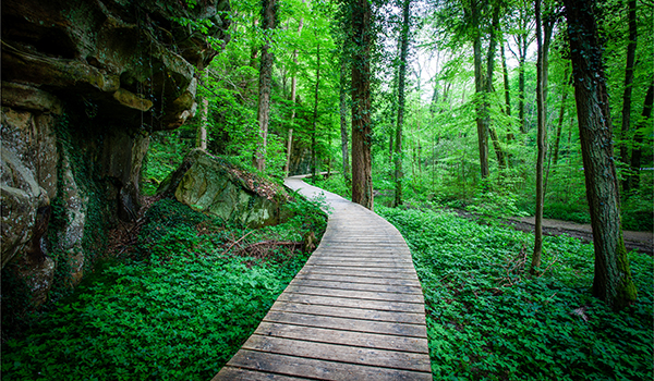 five-milestones-to-forming-a-great-climate-strategy