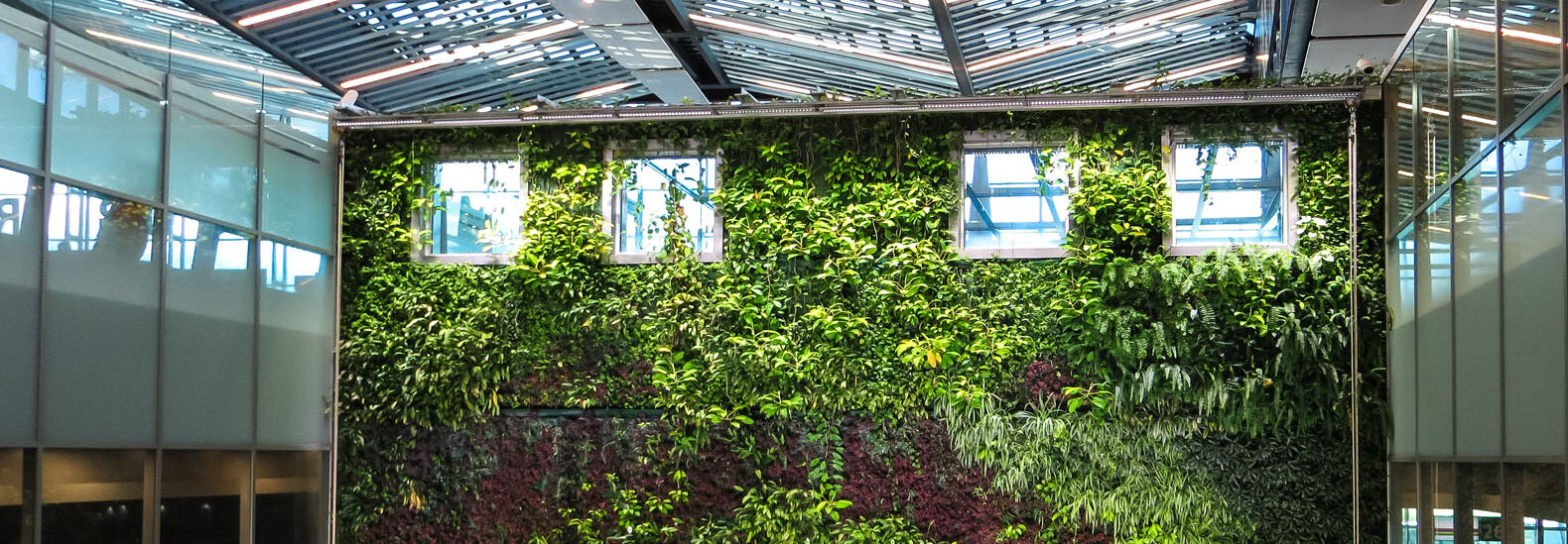 can-we-live-in-buildings-made-from-living-materials?