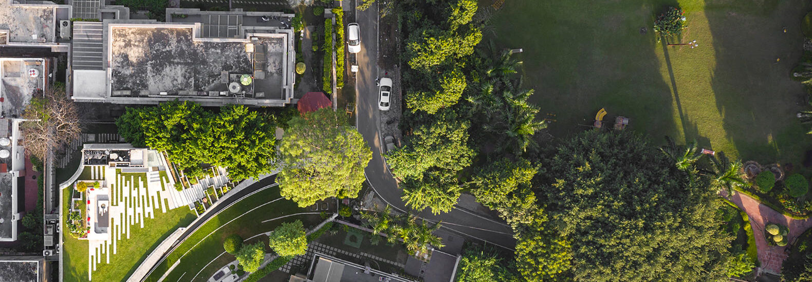 biophilic-villa-with-a-green-rooftop-minimizes-solar-gain