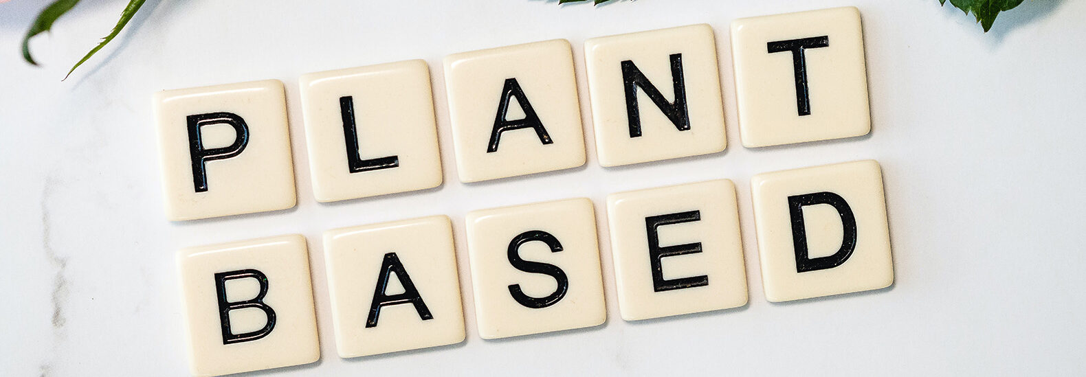 vegan-boxer-kollins-ezekh-is-a-role-model-for-athletes