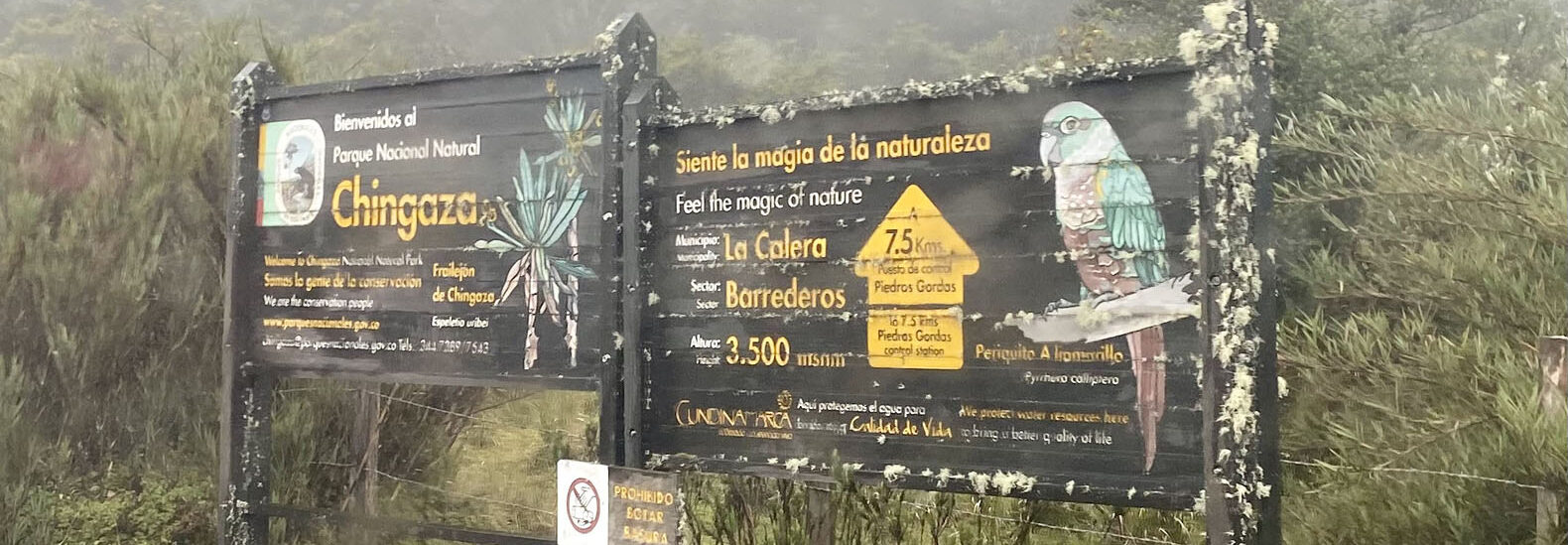 the-pramo-ecosystem-in-colombia’s-chingaza-national-park