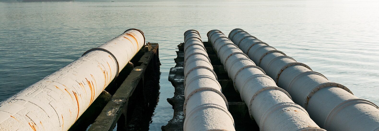 as-sea-levels-rise,-septic-waste-may-leak-into-coastal-homes