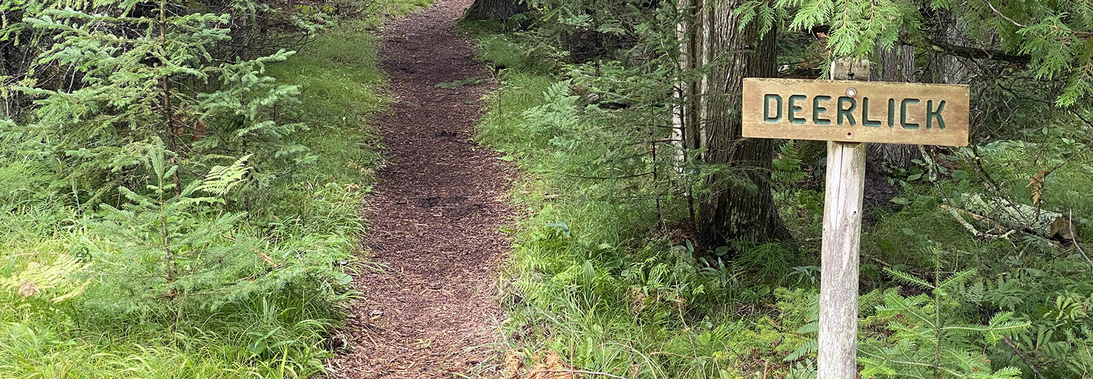 an-eco-travel-guide-to-beautiful-wisconsin-countryside