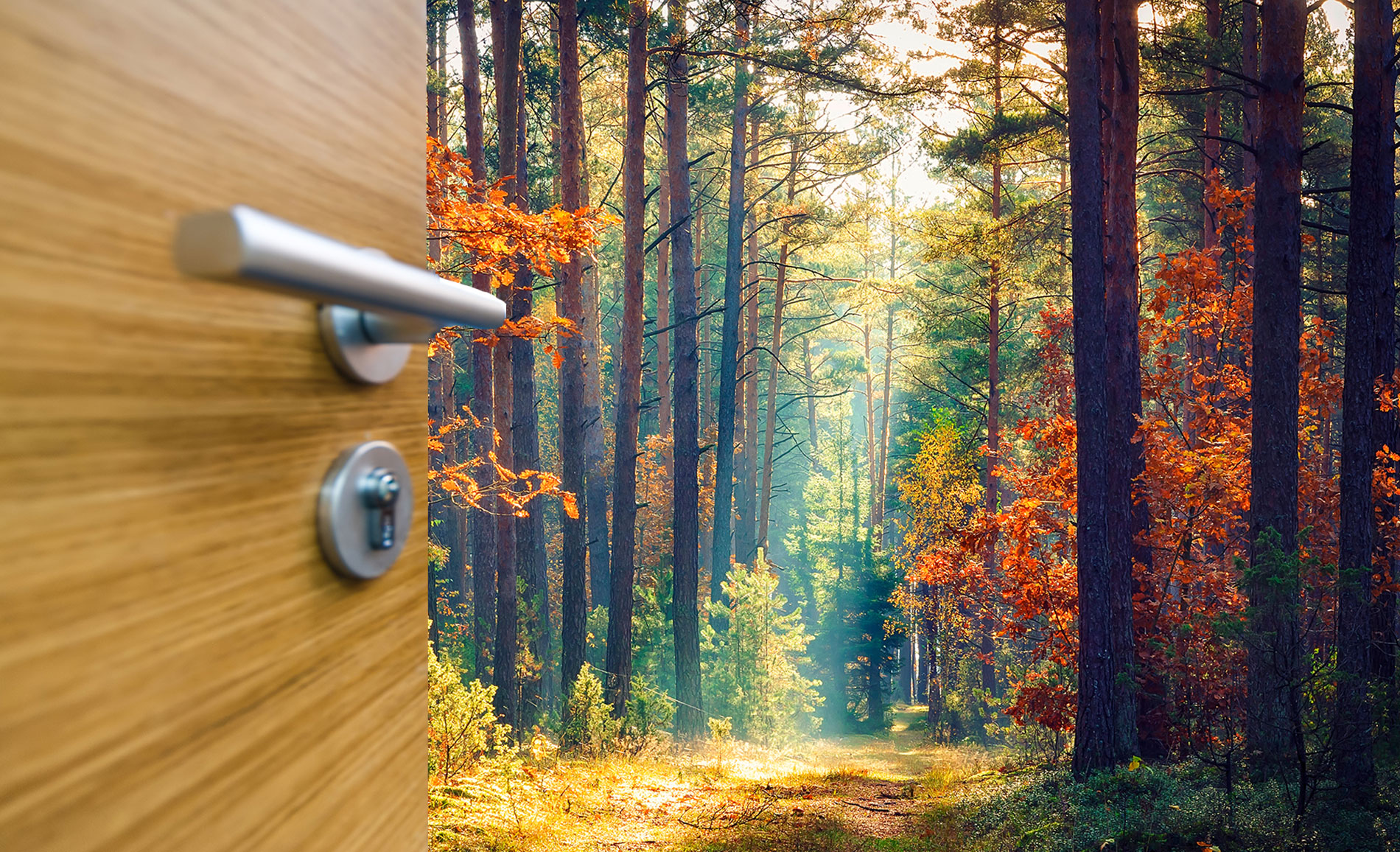 your-next-corporate-job:-protecting-biodiversity