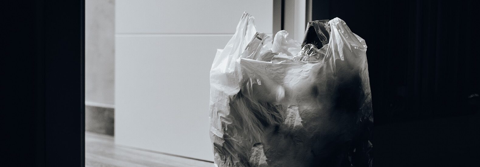 california-is-the-first-state-to-ban-plastic-produce-bags