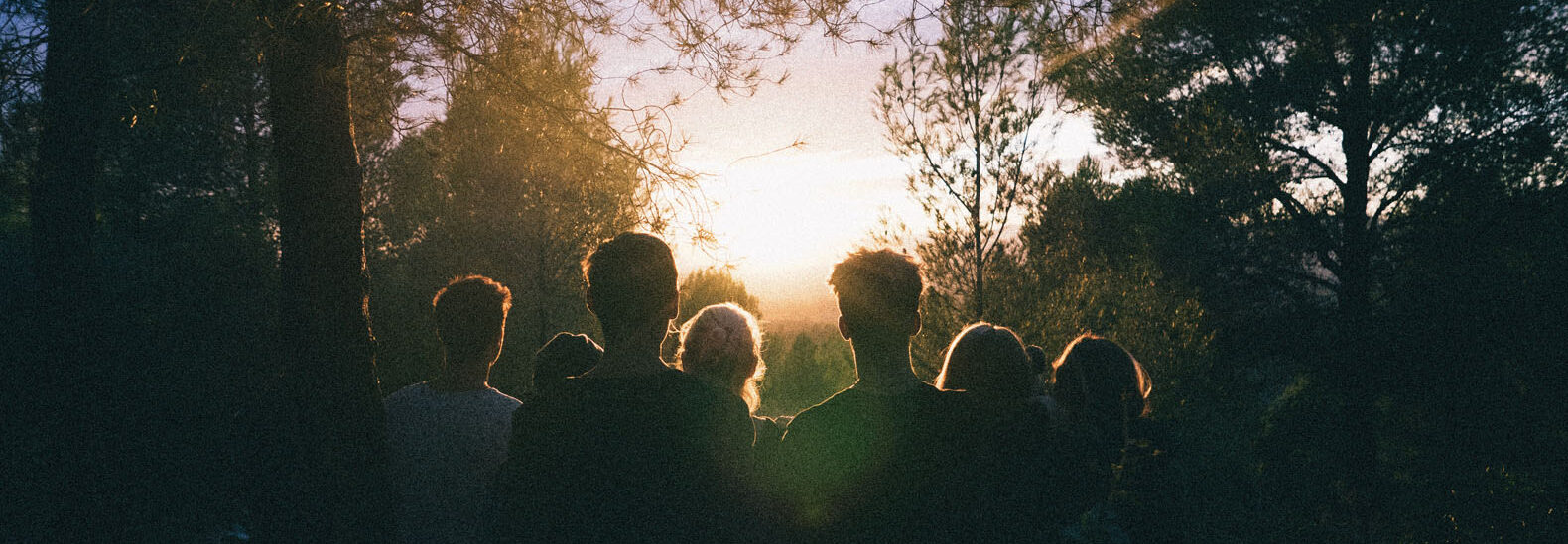 5-things-you-can-do-to-protect-nature-today-and-every-day