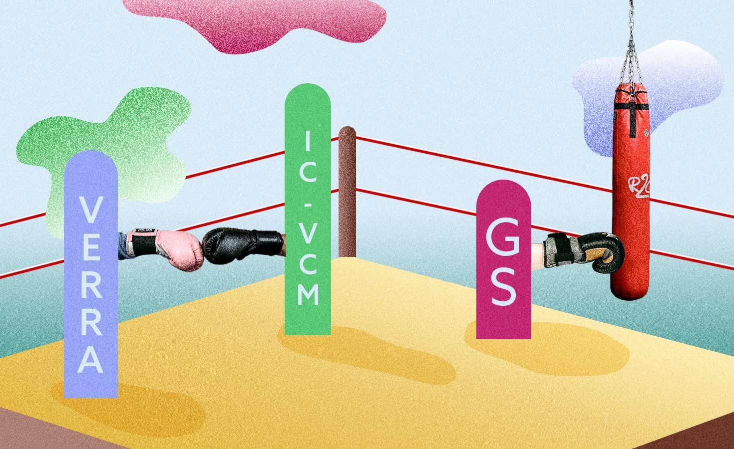 infighting-among-carbon-credit-verification-bodies