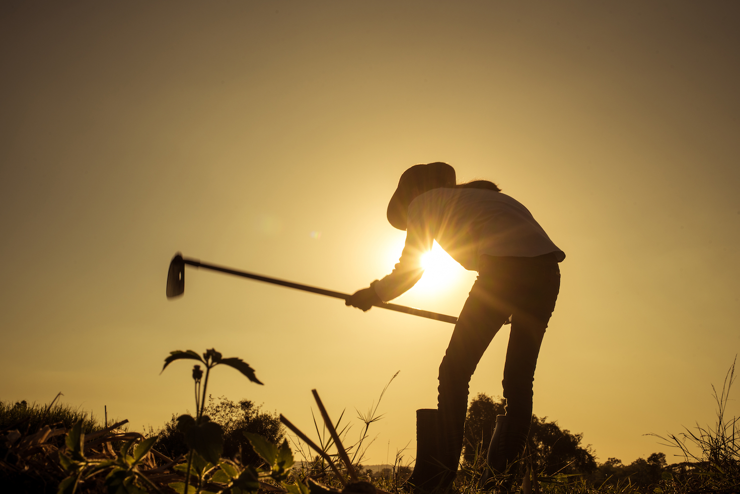 investing-in-next-gen-farmers-will-create-resilient-food-systems