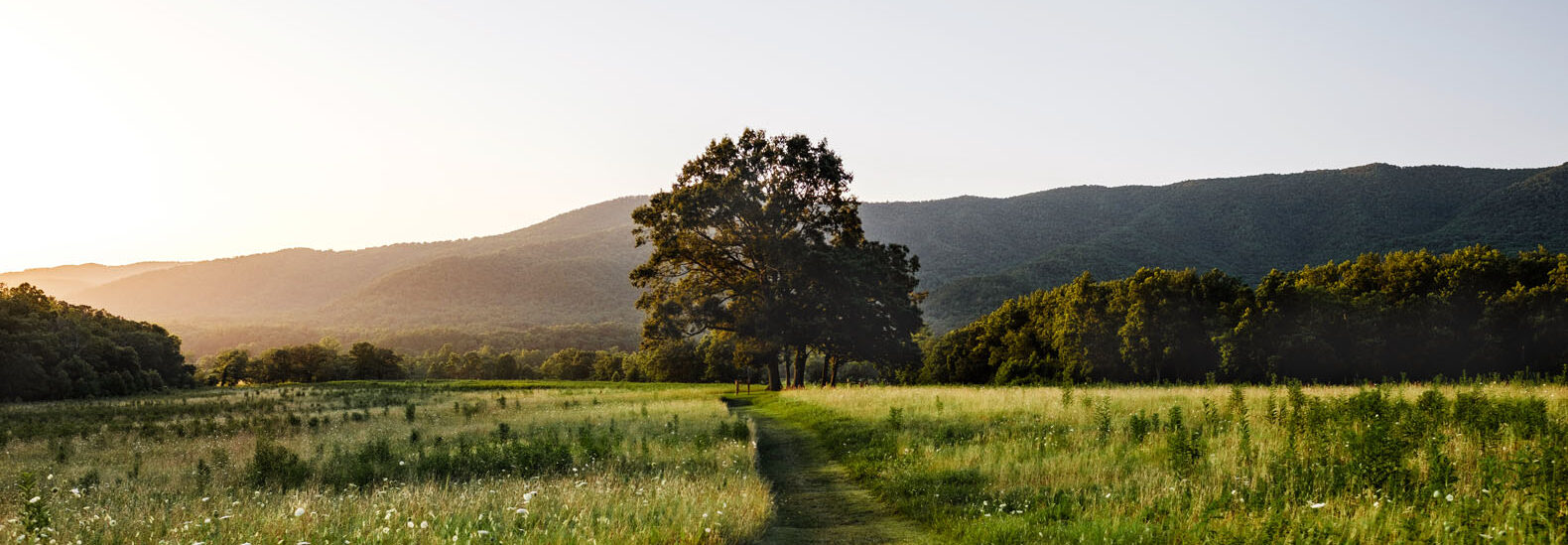 promote-life-for-the-planet-with-transcend’s-green-burial