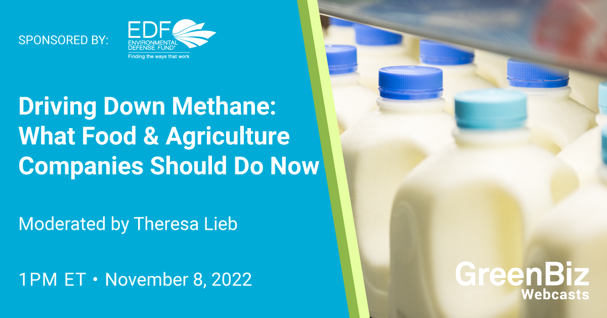 driving-down-methane:-what-food-&-agriculture-companies-should-do-now