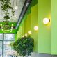 find-green-in-the-menu-and-the-walls-of-this-healthy-eatery
