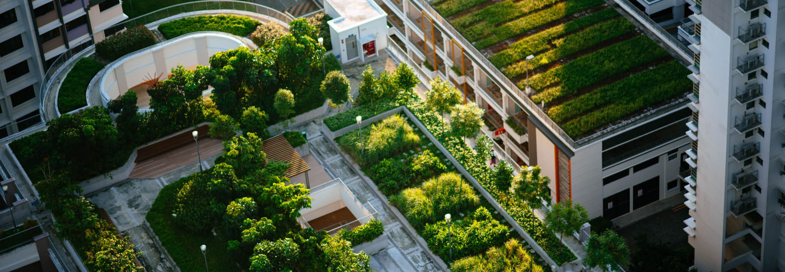 is-vertical-farming-the-future-of-food-production?