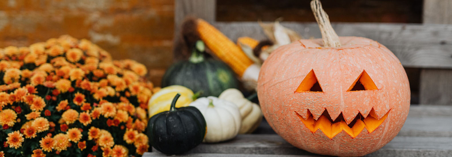 7-ways-to-be-green-this-spooky-halloween