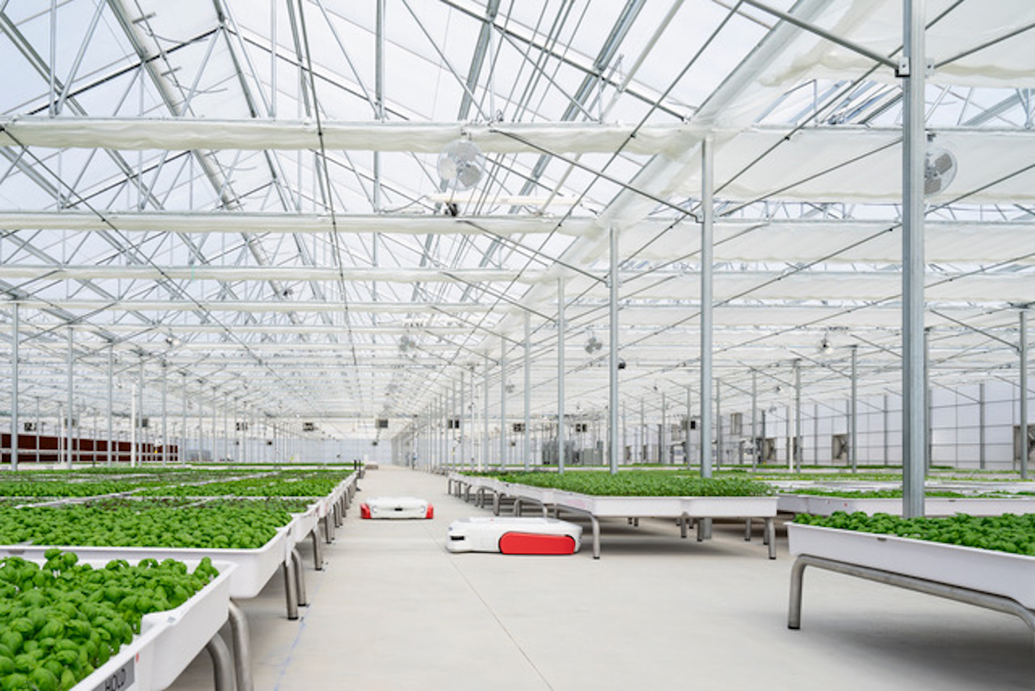 can-iron-ox’s-smart-greenhouses-take-an-edge-off-climate-chaos?