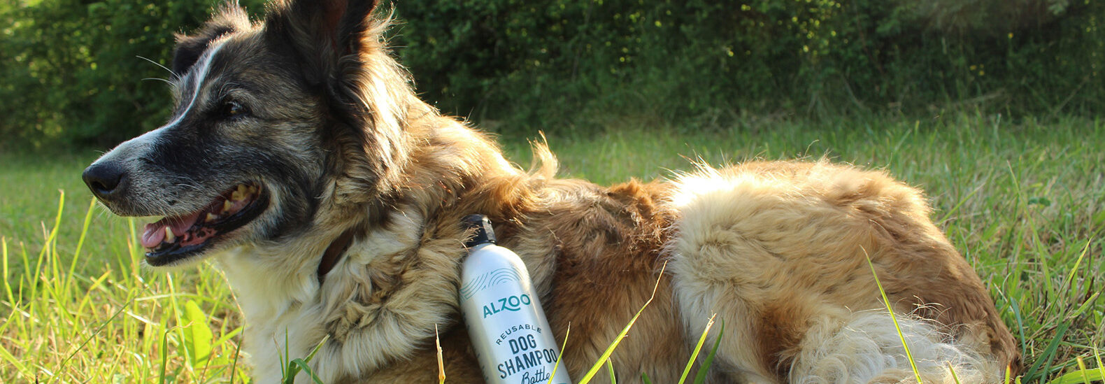 sustainable-pet-products-calm-and-clean-the-zoo-at-home