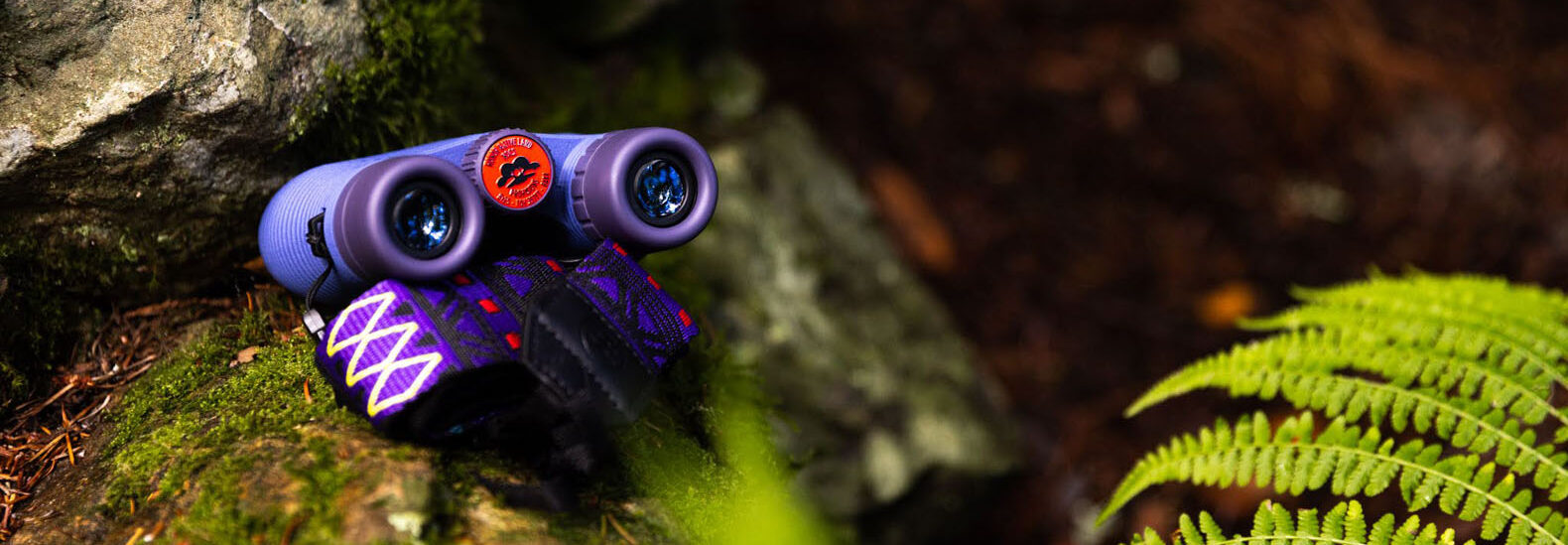 nocs-provisions-partners-with-indigenous-artist-and-rei