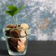 leveraging-corporate-cash-to-scale-climate-solutions