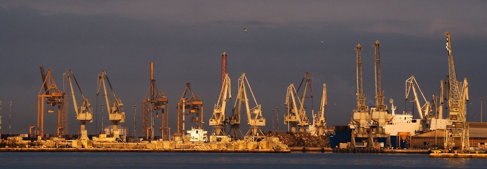 fossil-fuel-lobbyists-at-cop27-overpower-vulnerable-voices