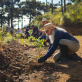 how-the-private-sector-can-help-mitigate-climate-change