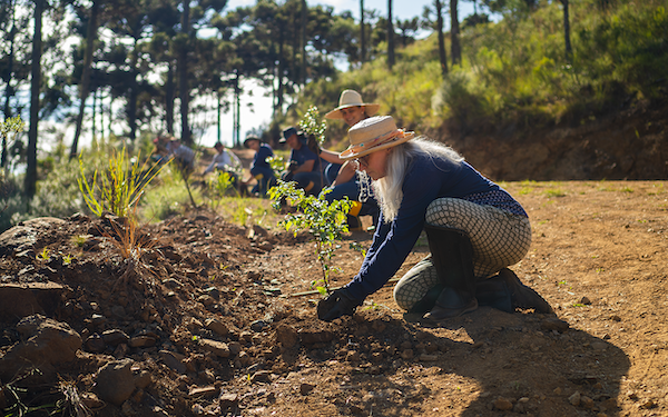 how-the-private-sector-can-help-mitigate-climate-change