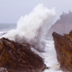 oregon’s-green-wave