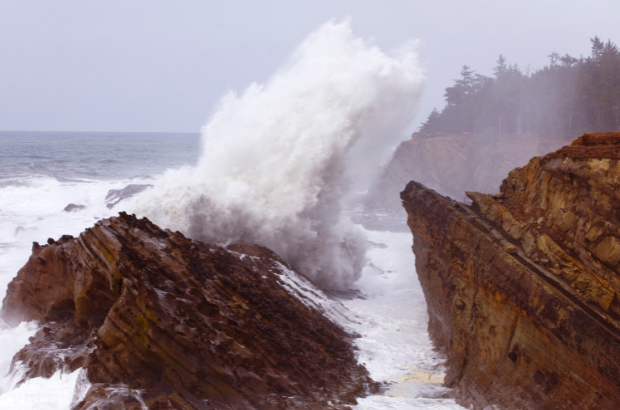 oregon’s-green-wave