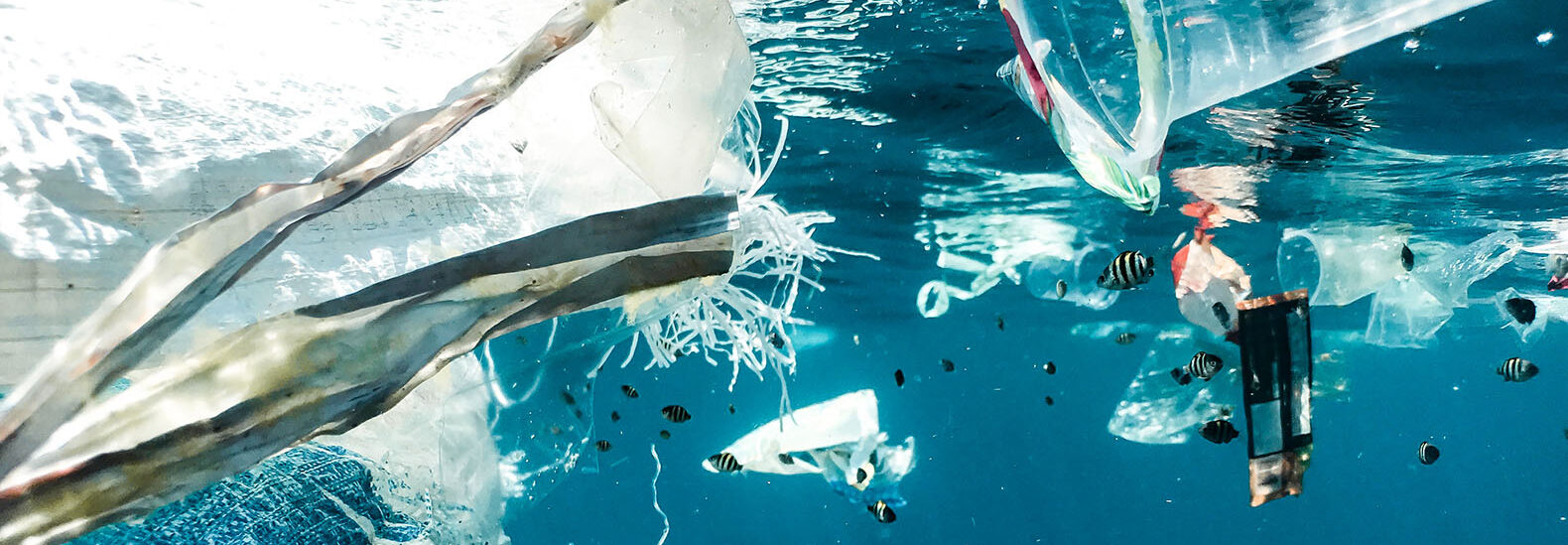 Exploring the Great Pacific Garbage Patch ES Management
