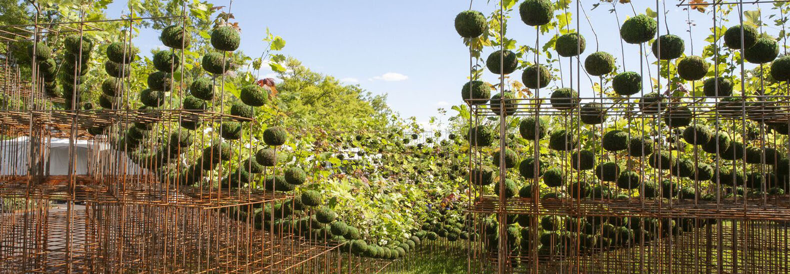 forest-installation-suspends-seedlings-on-an-inverted-dome