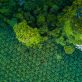 the-hidden-emissions-in-the-global-food-supply-chain
