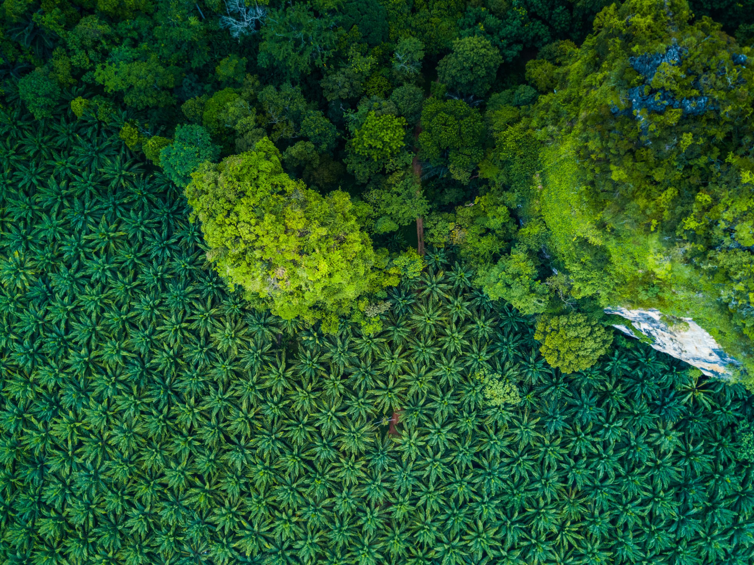 the-hidden-emissions-in-the-global-food-supply-chain