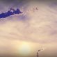 how-we-can-unlock-tech-to-decarbonize-our-skies
