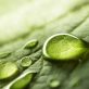 study-up-on-natural-capital