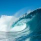 a-green-wave-of-climate-activism-is-cresting-—-companies-must-be-‘all-in’