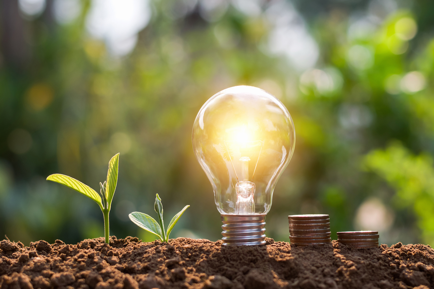 tech’s-turbulence-is-a-chance-for-vcs-to-double-down-on-climate