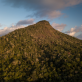 four-lessons-from-a-journey-to-be-forest-positive