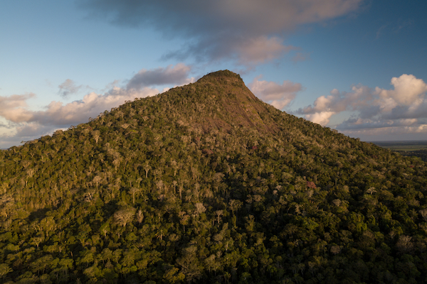 four-lessons-from-a-journey-to-be-forest-positive