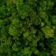 nature-is-taking-center-stage